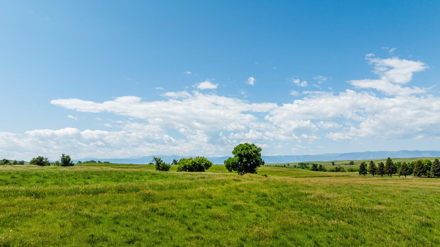 36 Lower Prairie Dog Road Sheridan, WY 82801 - Photo 33 of 41 007_dji_20250618111939_0259_d_807
