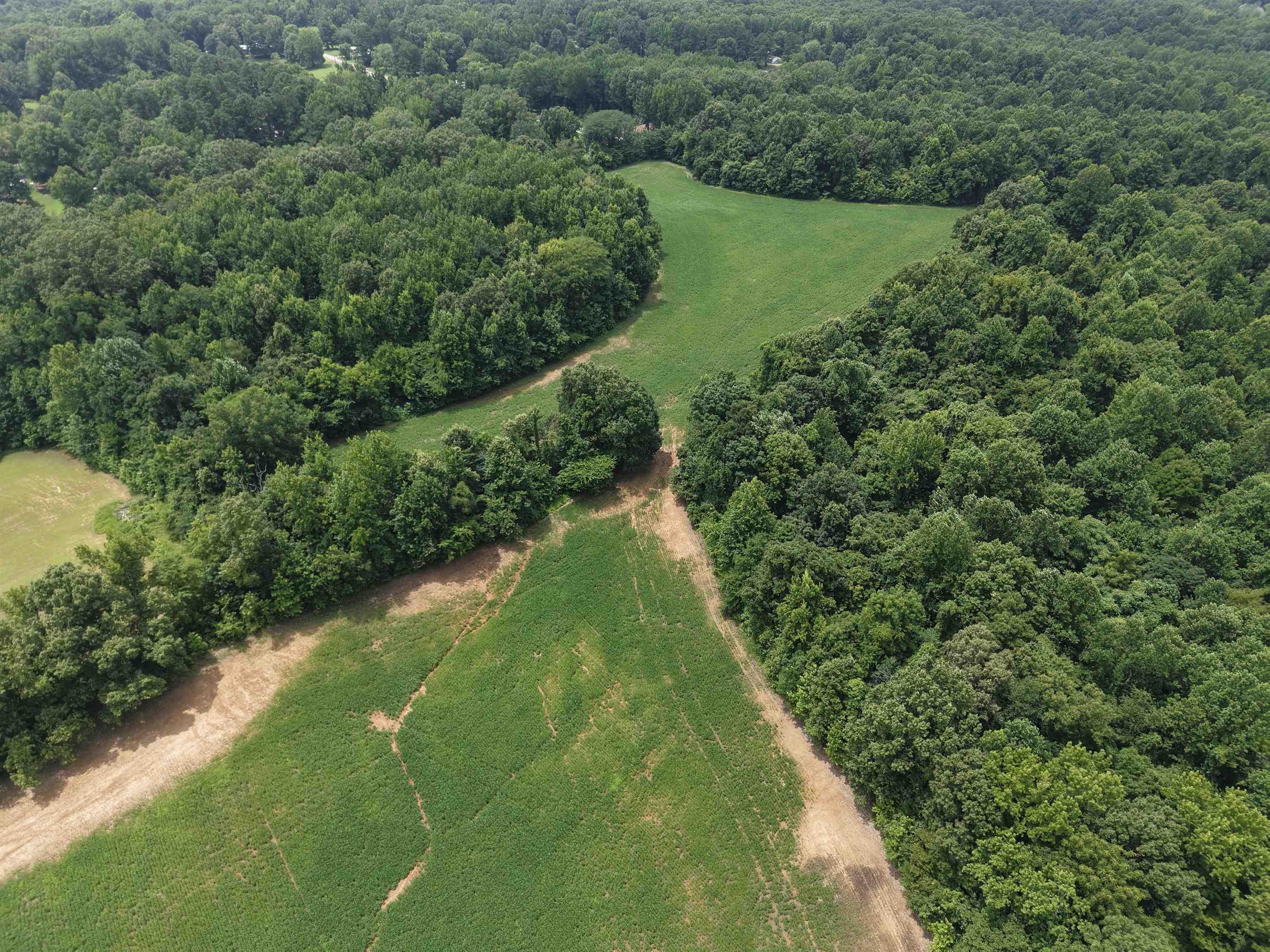 0 Mae Sigma Road Brighton, TN 38011 - Photo 5 of 35