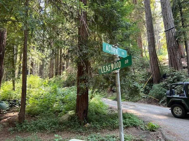 a view of a house with backyard and trees