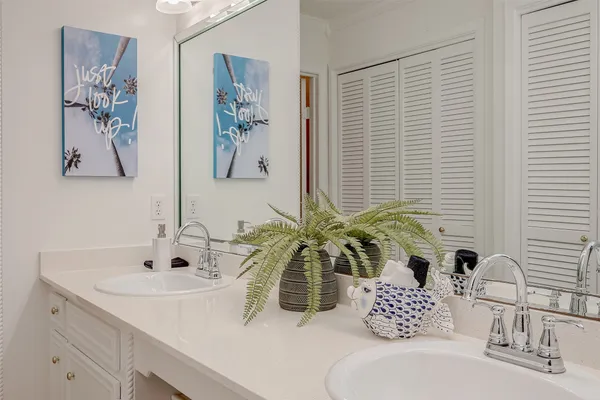 a bathroom with a granite countertop sink a potted plant and a large mirror