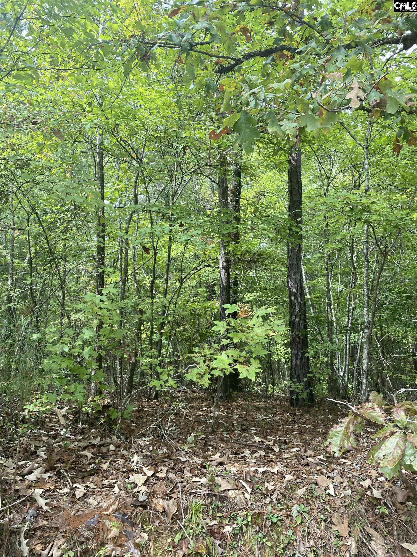 None Claude Bundrick Road Southwest Blythewood, SC 29016 - Photo 2 of 4
