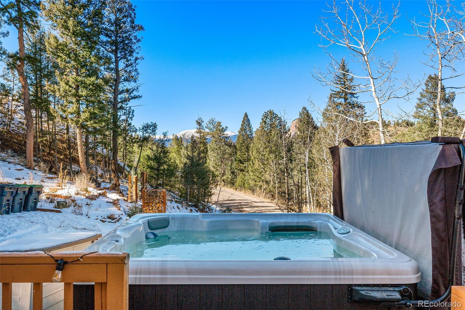 33782 Nova Road Pine, CO 80470 - Photo 23 of 50 a view of backyard with green space