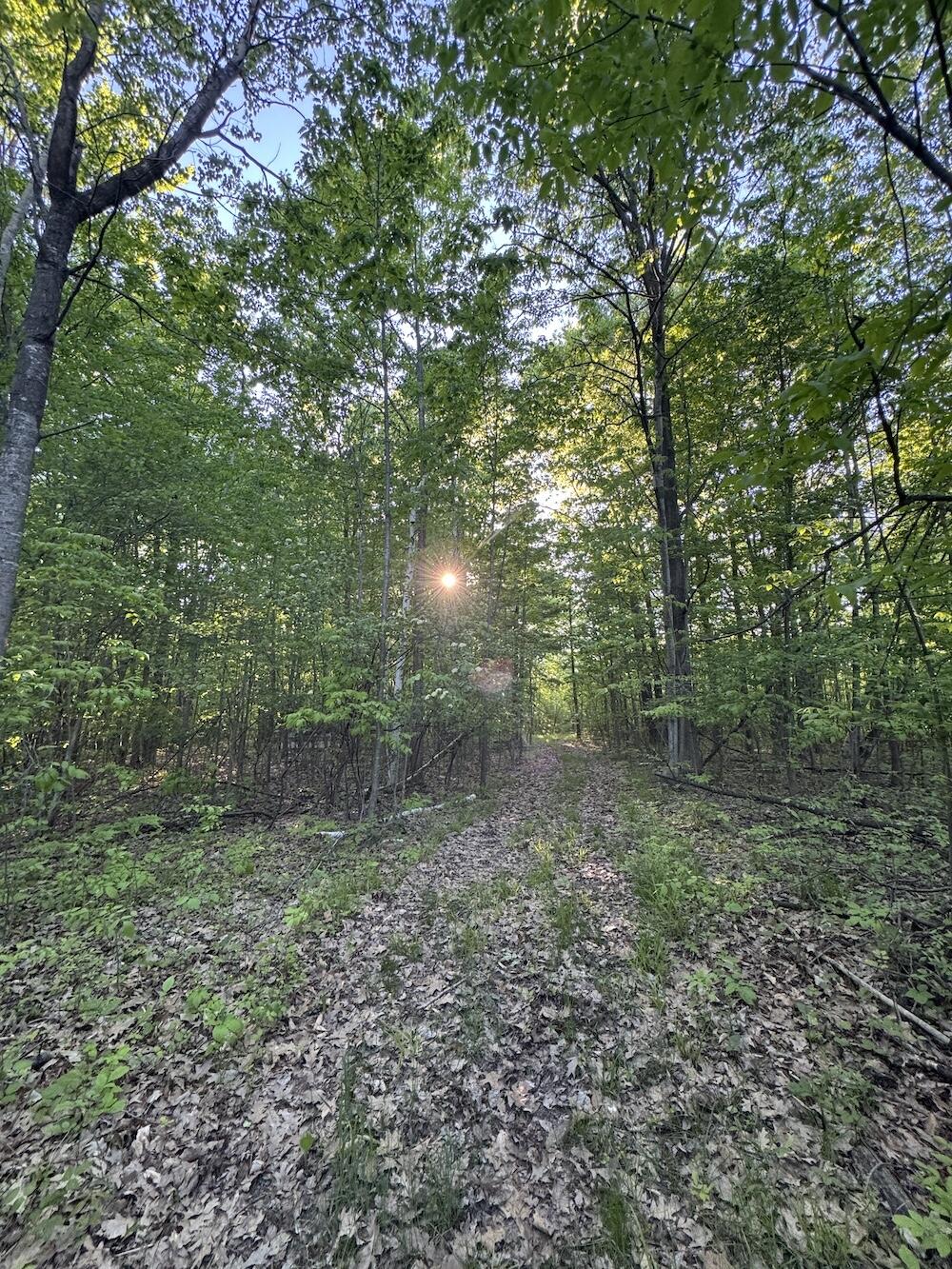 Vl Melcher Road Prescott, MI 48756 - Photo 6 of 65 5