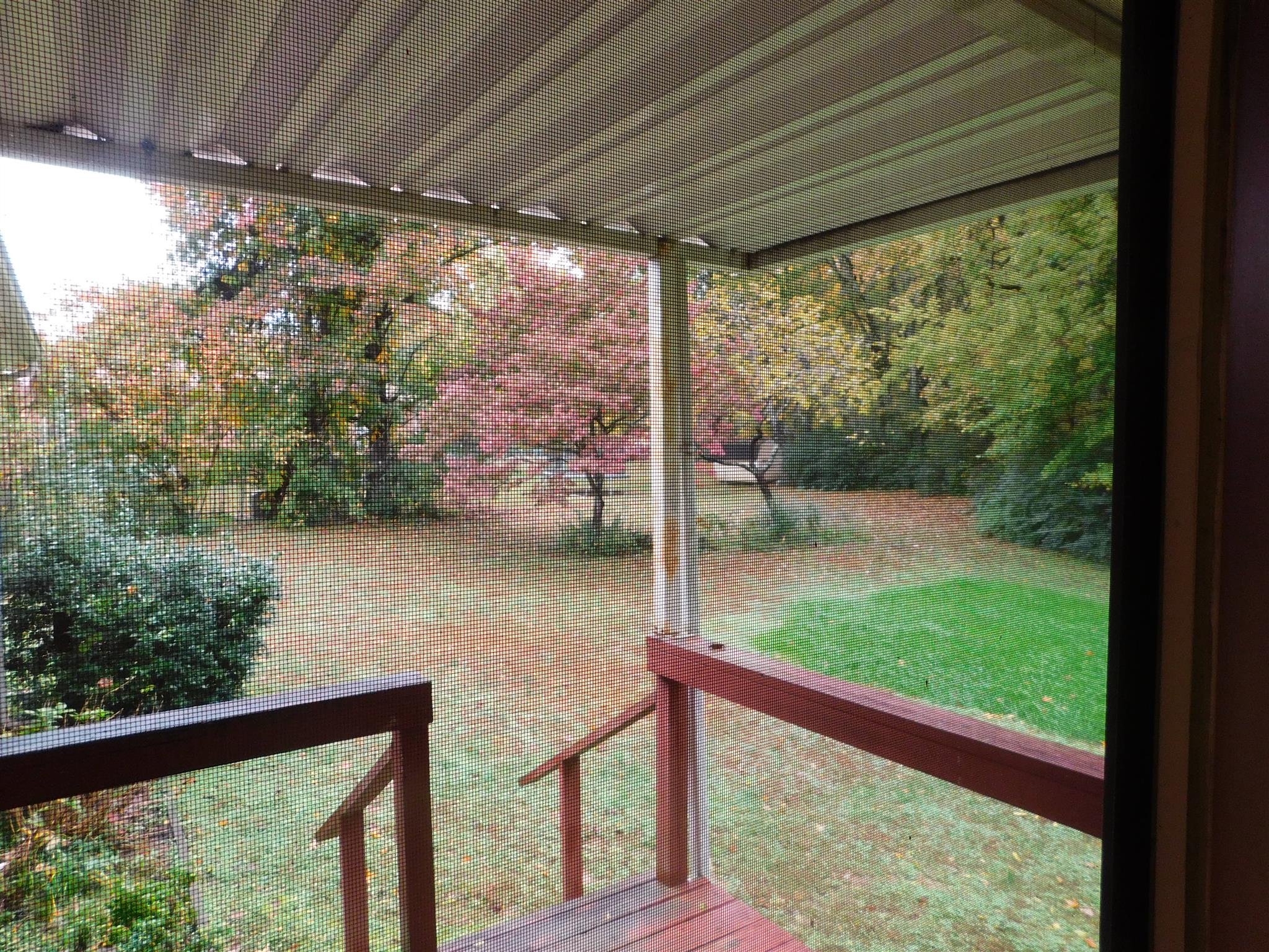 282 Bold Springs Road McEwen, TN 37101 - Photo 9 of 25 Gallery Image 9