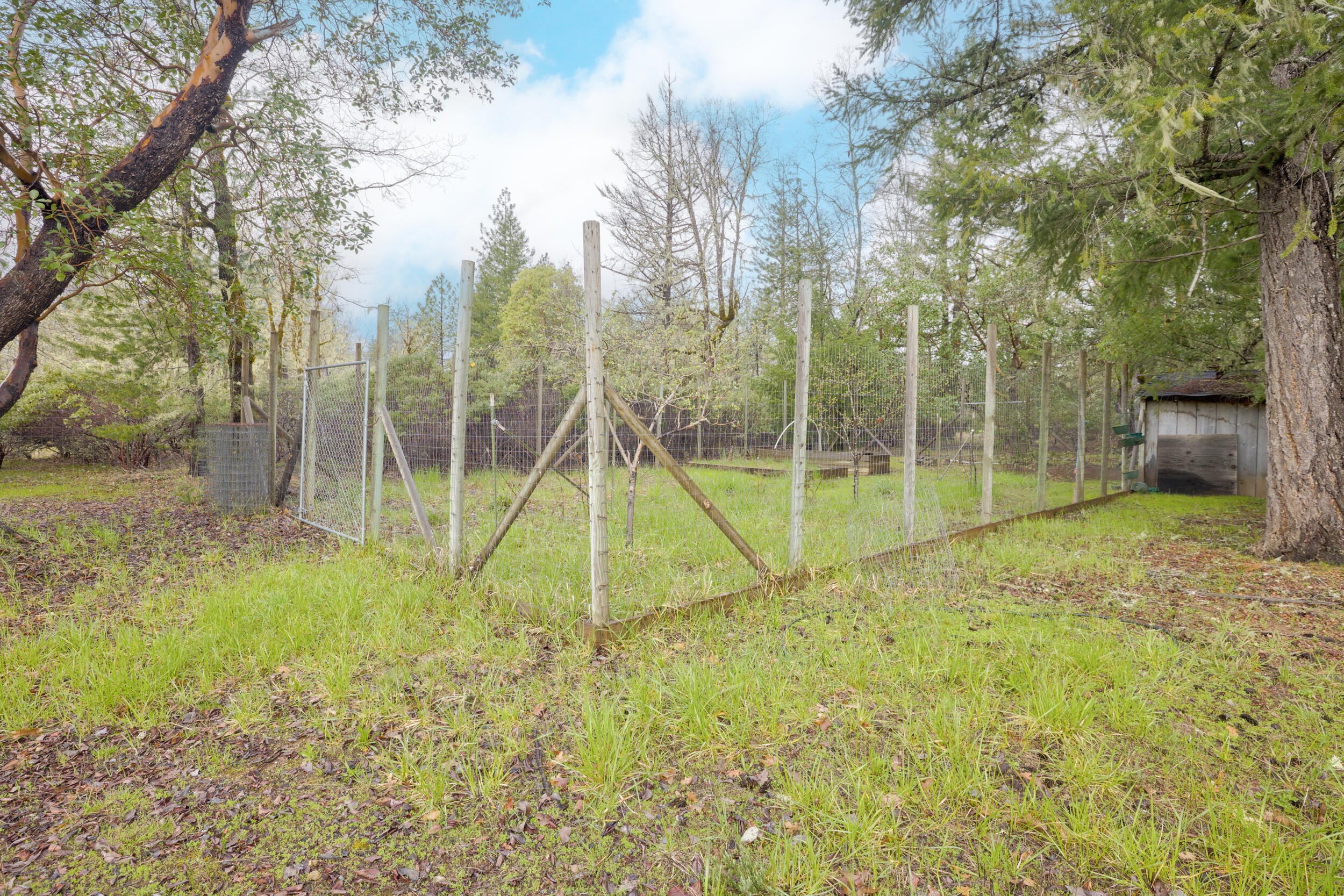 1570 Dick George Road Cave Junction, OR 97523 - Photo 41 of 41 Garden Area