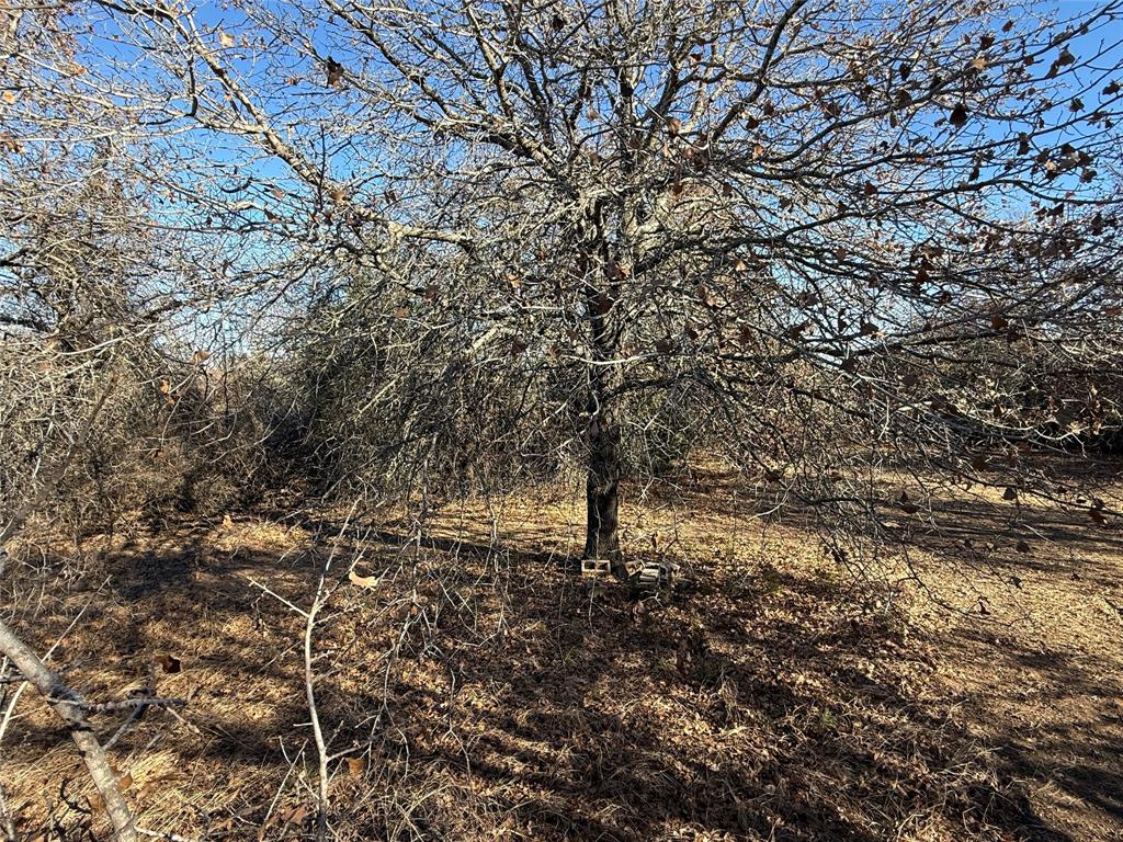 1763 Mathers Road Sunset, TX 76270 - Photo 10 of 39