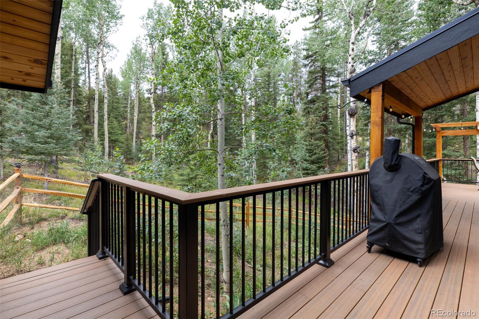 11203 Barney Gulch Road Conifer, CO 80433 - Photo 38 of 50 Gallery Image 38