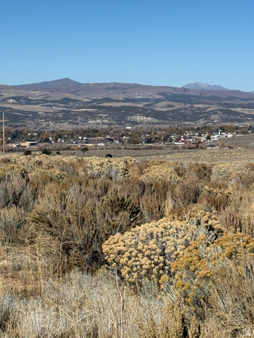 6 Pine Creek Road, Unit 6 Mount Pleasant, UT 84647 - Photo 2 of 11