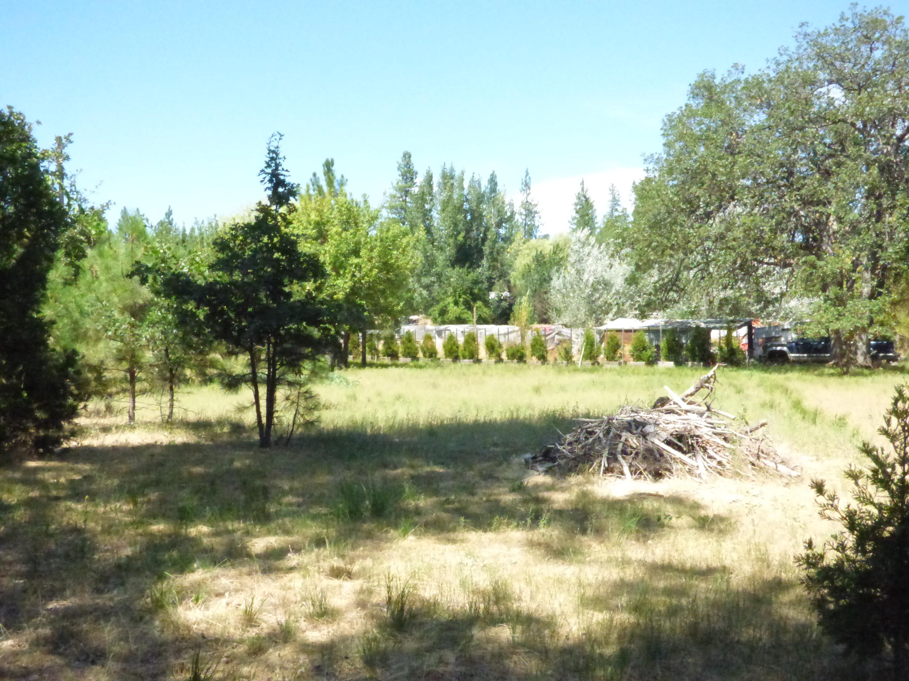 40340 McArthur Road Fall River Mills, CA 96028 - Photo 4 of 20 Backyard