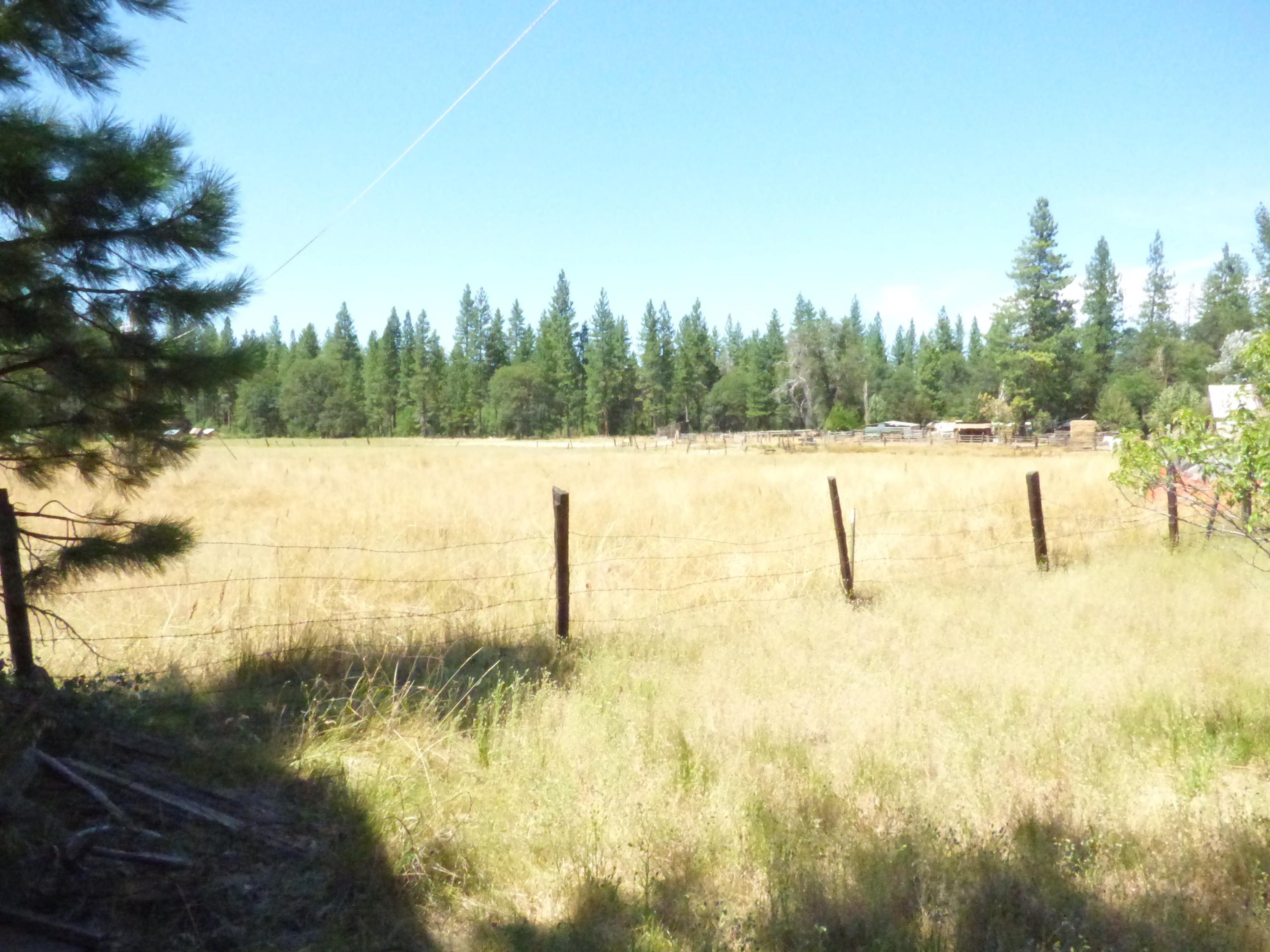 40340 McArthur Road Fall River Mills, CA 96028 - Photo 10 of 20 Looking Northeast