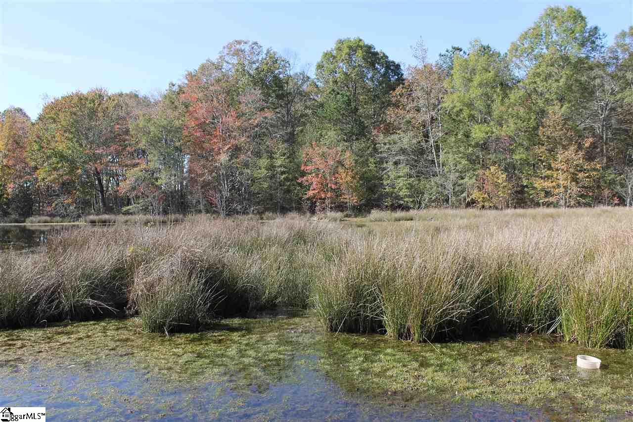 272 Davis Road Pelzer, SC 29669 - Photo 11 of 15