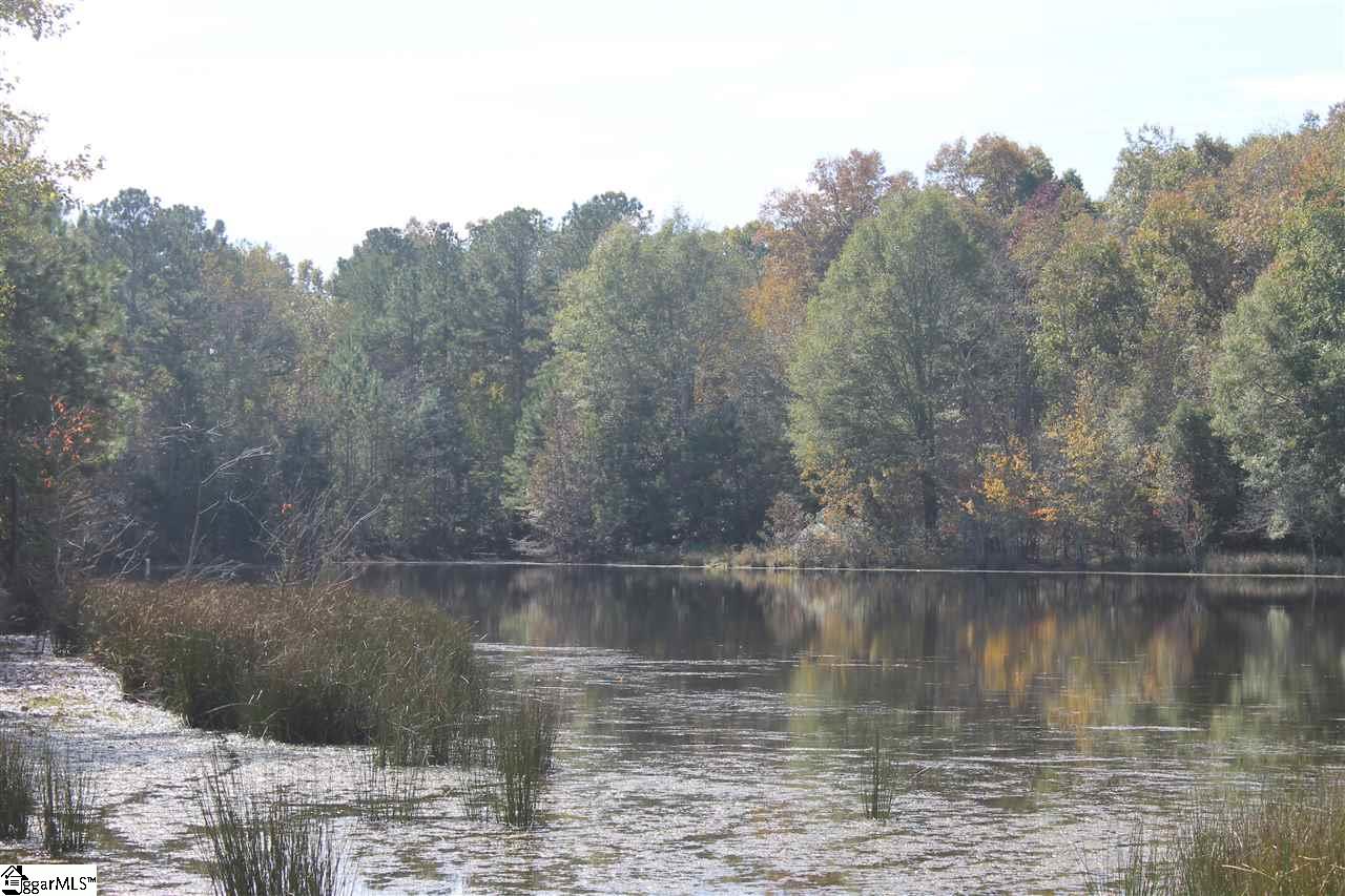272 Davis Road Pelzer, SC 29669 - Photo 12 of 15