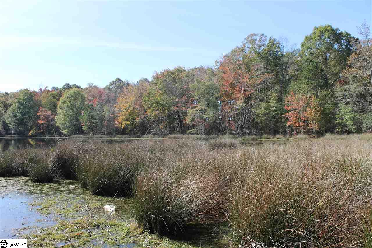 272 Davis Road Pelzer, SC 29669 - Photo 13 of 15