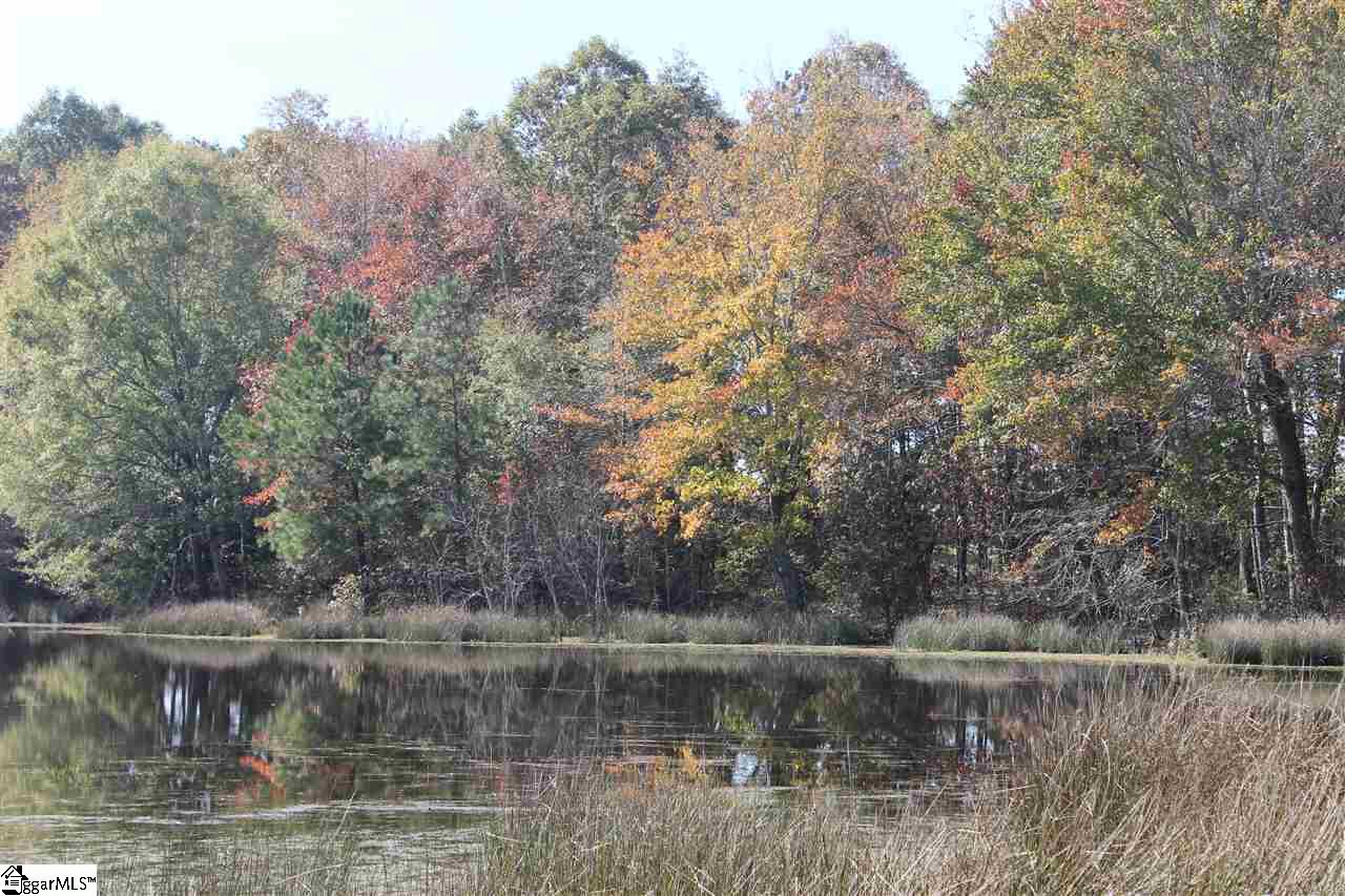 272 Davis Road Pelzer, SC 29669 - Photo 14 of 15