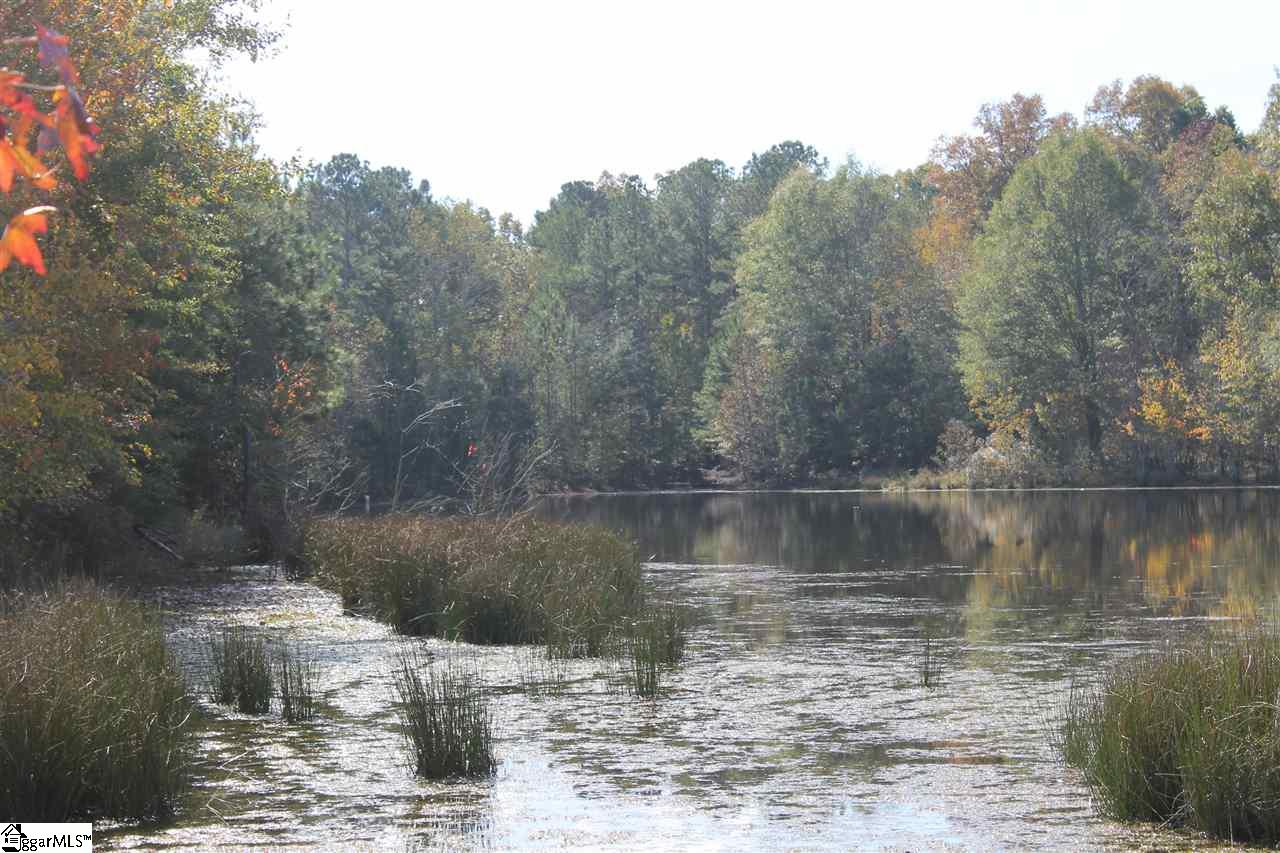 272 Davis Road Pelzer, SC 29669 - Photo 15 of 15