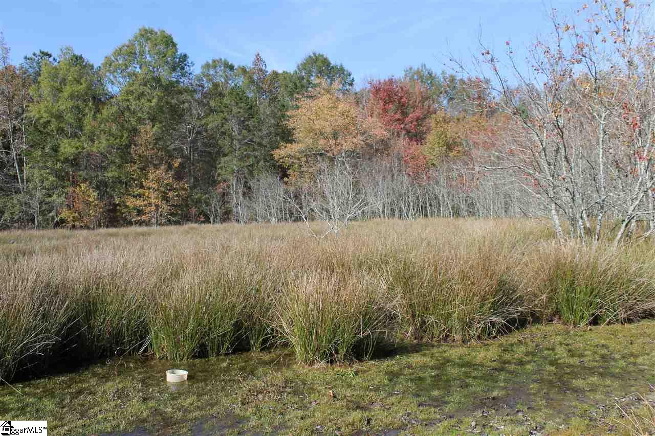 272 Davis Road Pelzer, SC 29669 - Photo 8 of 15