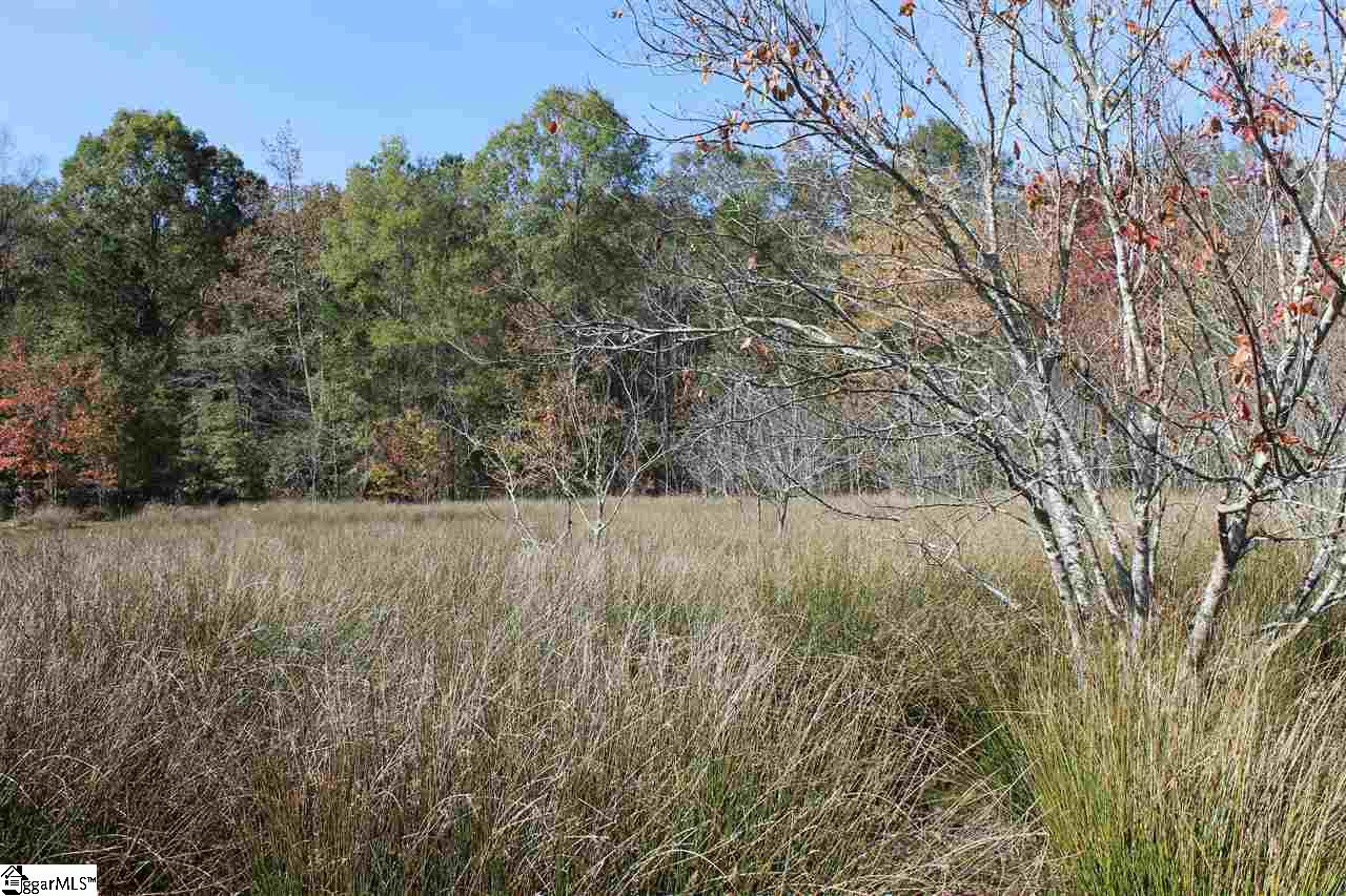 272 Davis Road Pelzer, SC 29669 - Photo 9 of 15