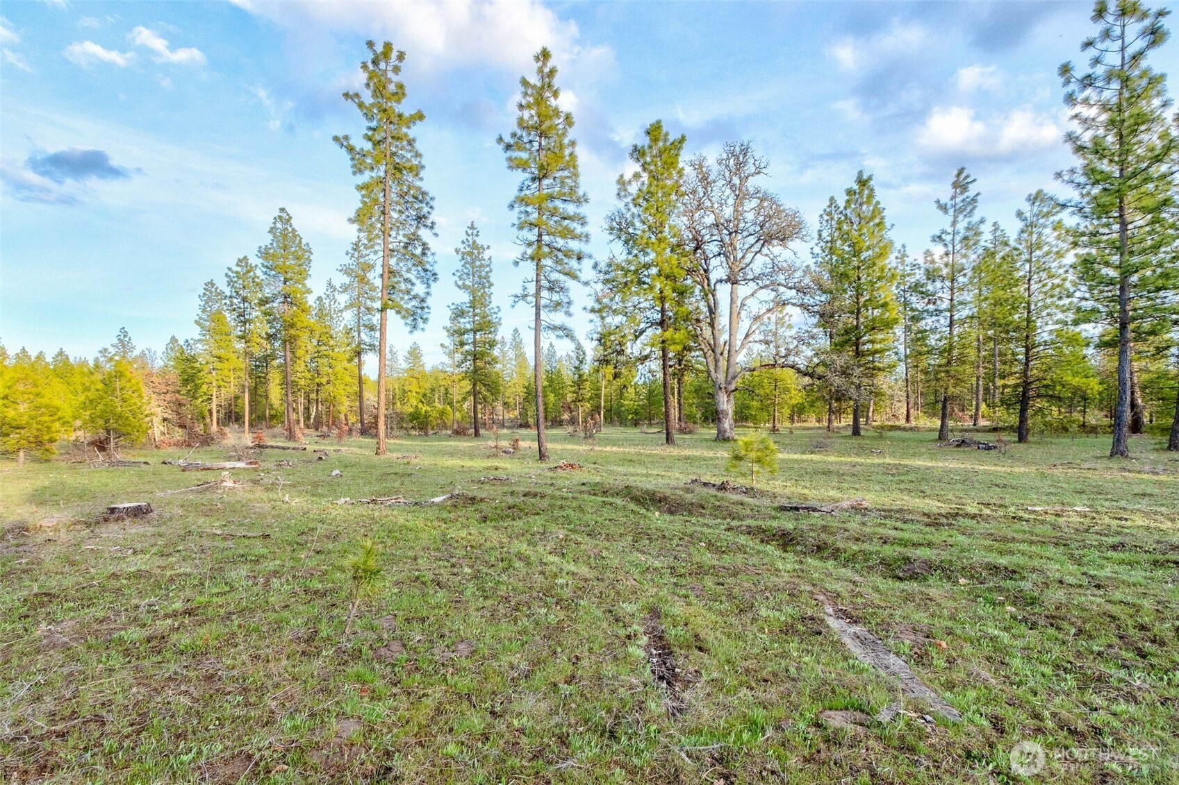 16 Grayback Road Goldendale, WA 98620 - Photo 1 of 25 Gallery Image 1