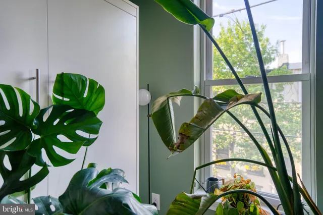 a close up of a potted plant in front of a window