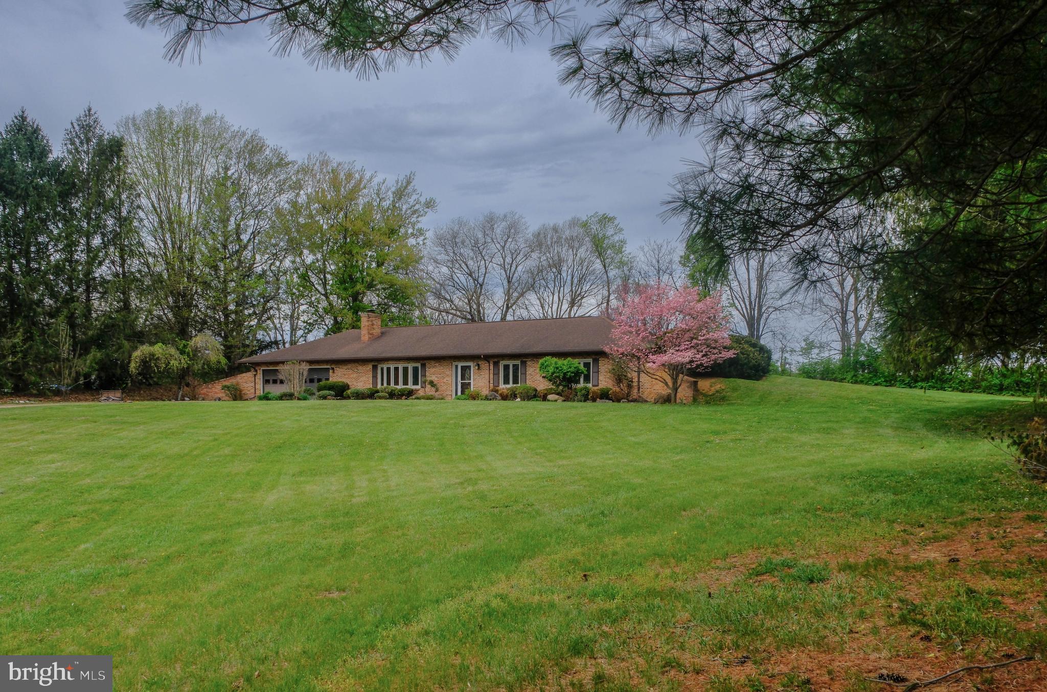 225 Bowling Green Road Front Royal, VA 22630 - Photo 12 of 77 a view of a backyard with potted plants and large trees