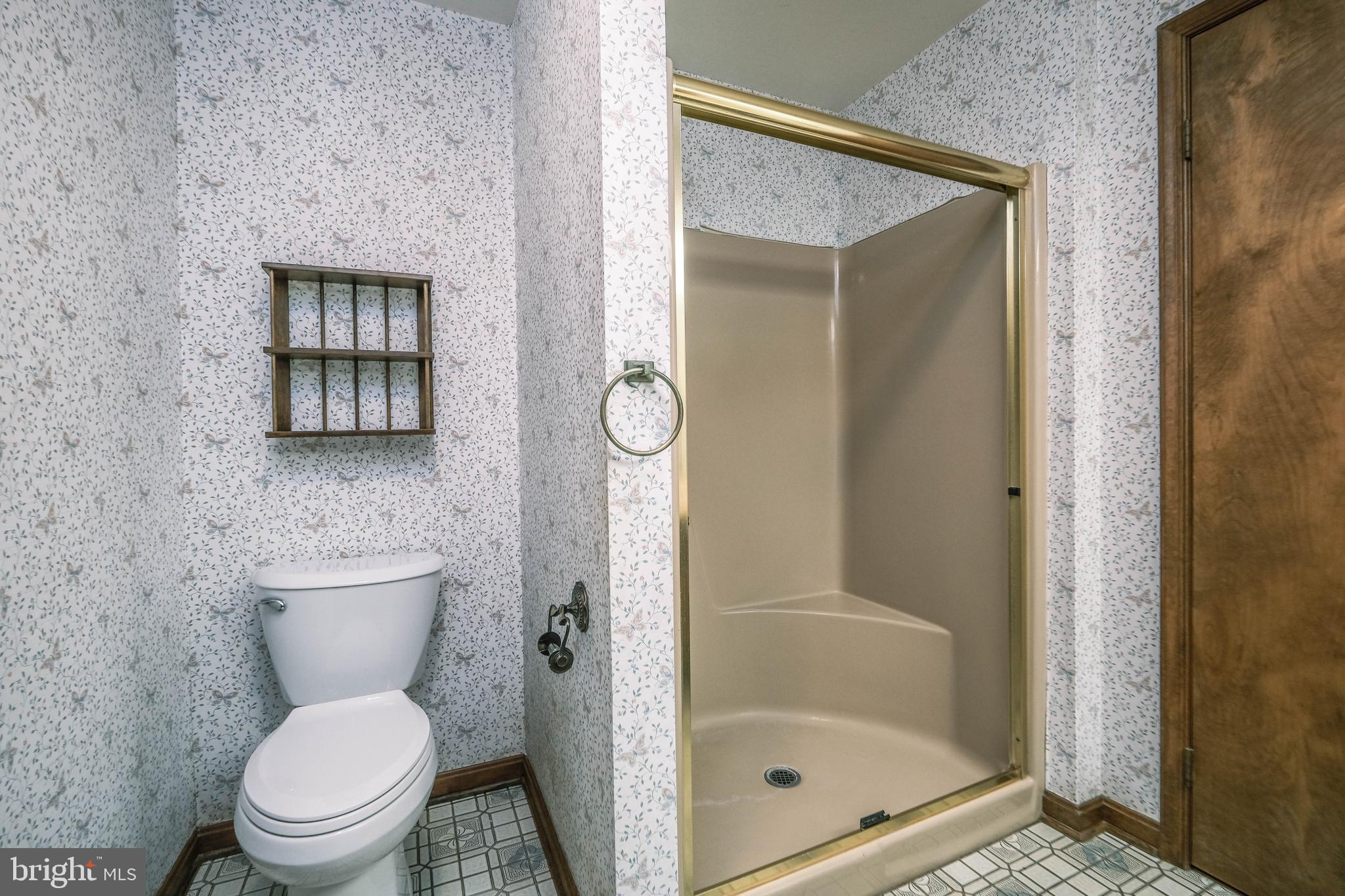 225 Bowling Green Road Front Royal, VA 22630 - Photo 34 of 77 a bathroom with a toilet and a shower