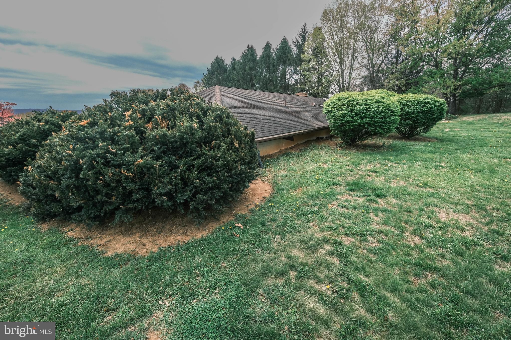 225 Bowling Green Road Front Royal, VA 22630 - Photo 4 of 77 a view of a backyard with plants