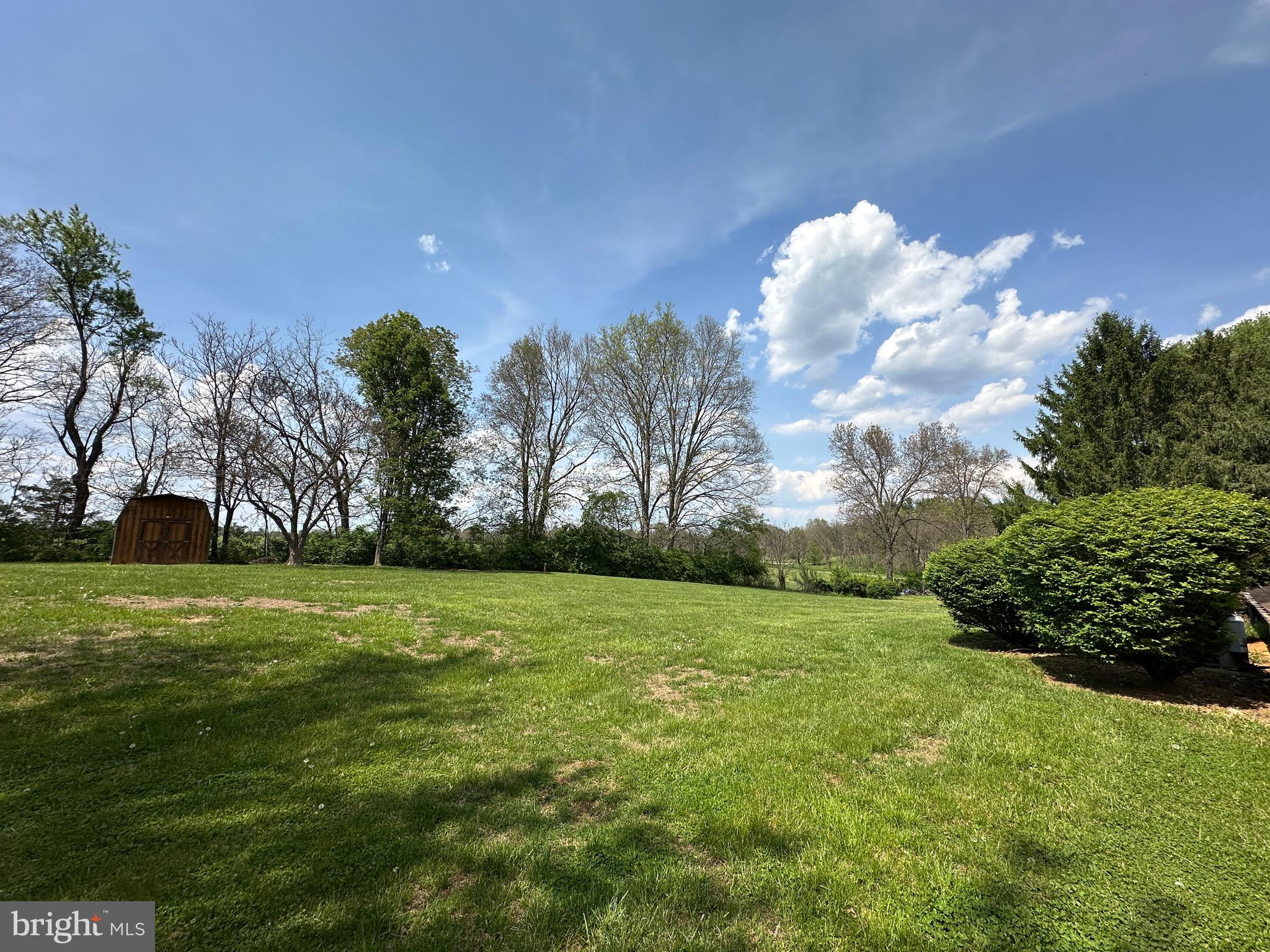 225 Bowling Green Road Front Royal, VA 22630 - Photo 57 of 77 a view of a big yard with plants and large trees