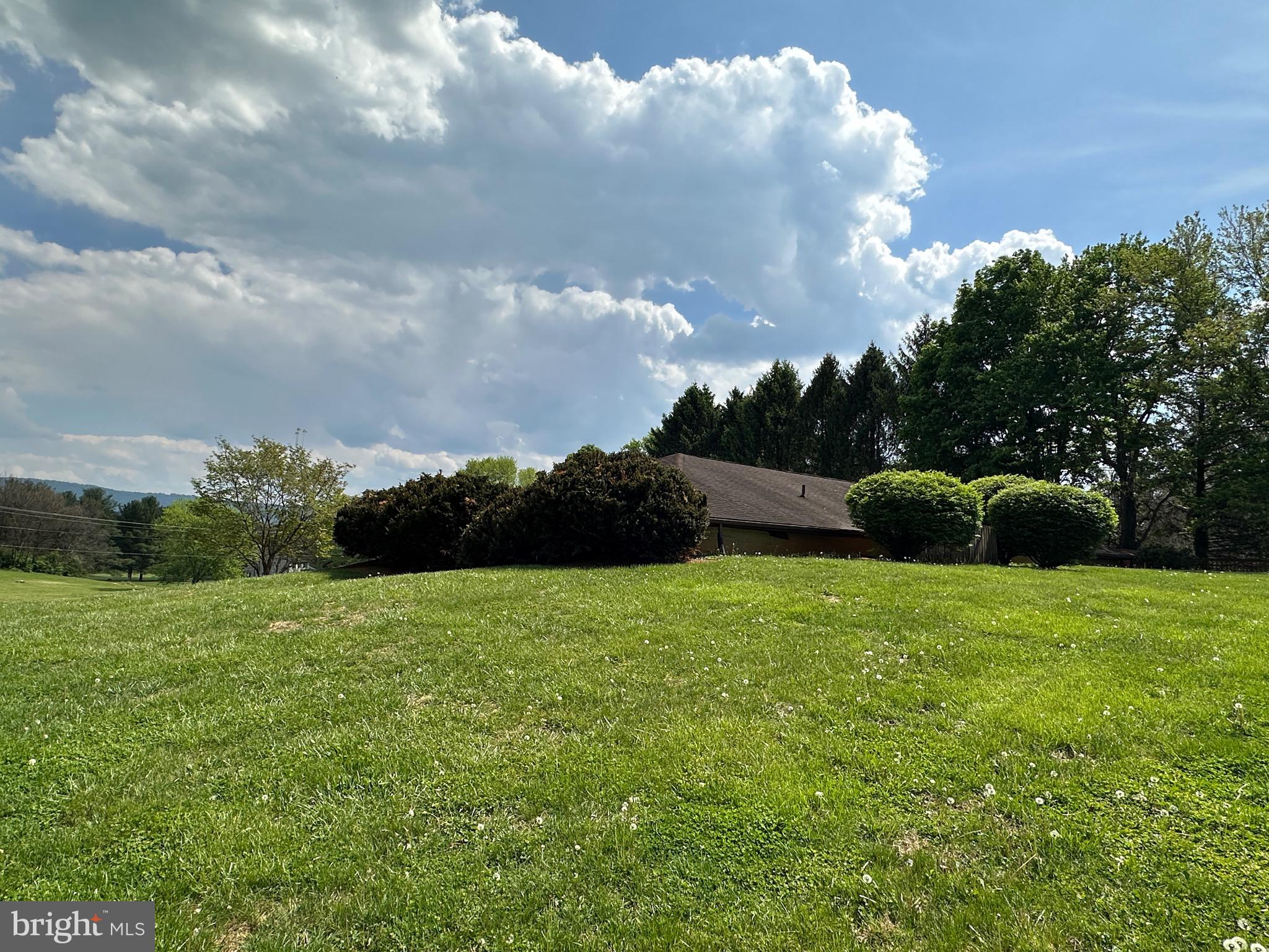 225 Bowling Green Road Front Royal, VA 22630 - Photo 63 of 77 WONDERFUL rear yard