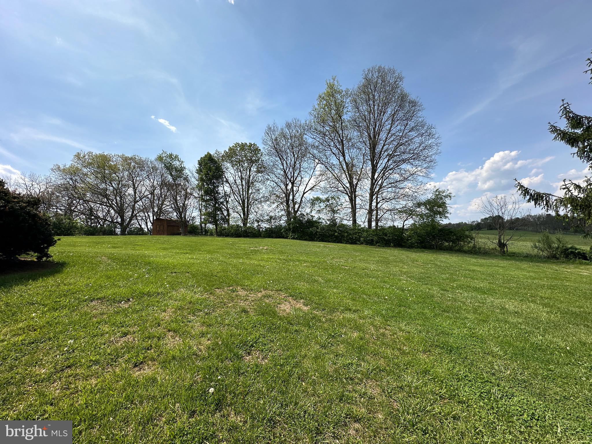225 Bowling Green Road Front Royal, VA 22630 - Photo 65 of 77 a view of a field of grass and trees