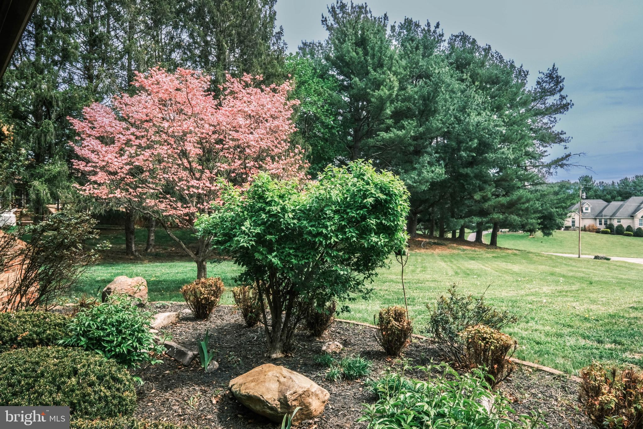 225 Bowling Green Road Front Royal, VA 22630 - Photo 10 of 77 a view of a garden with a tree