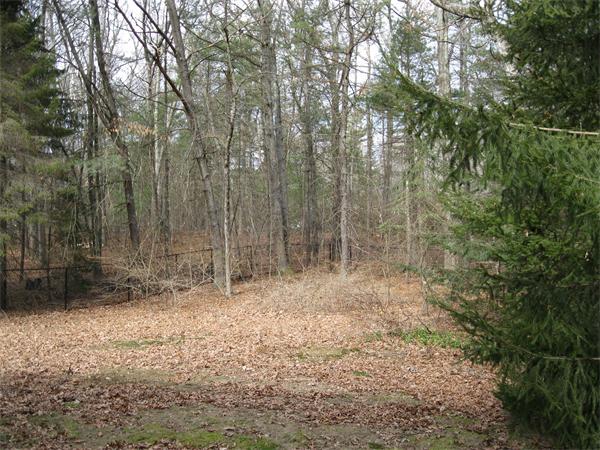 8 Tanbark Road Sudbury, MA 01776 - Photo 4 of 27 a view of outdoor space with trees