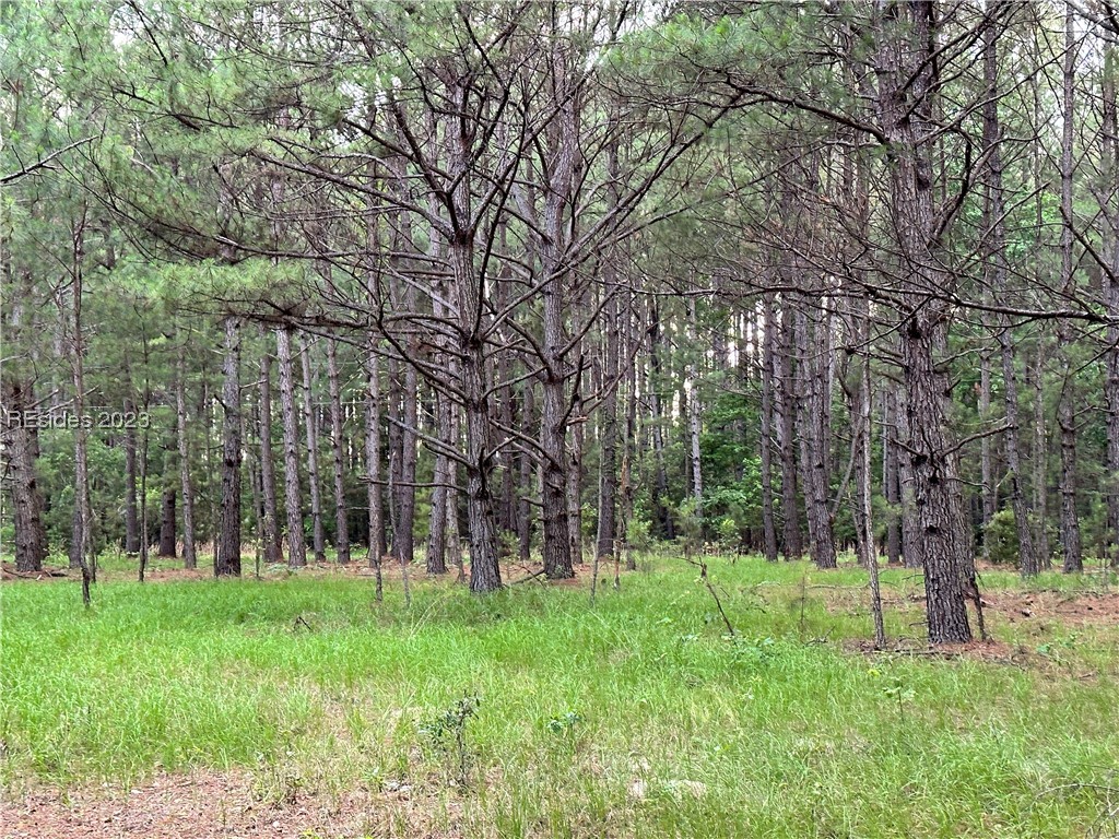 0 Langfordville Road Ridgeland, SC 29936 - Photo 1 of 1 Gallery Image 1