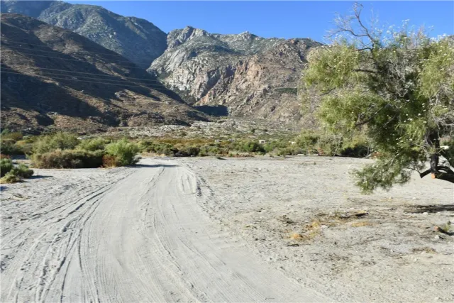 a view of a dry yard with wooden fence