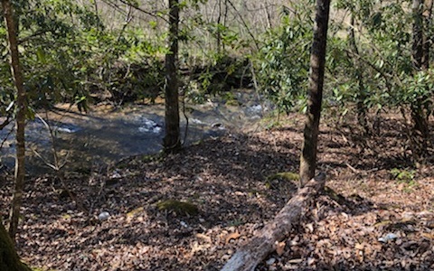 Main View