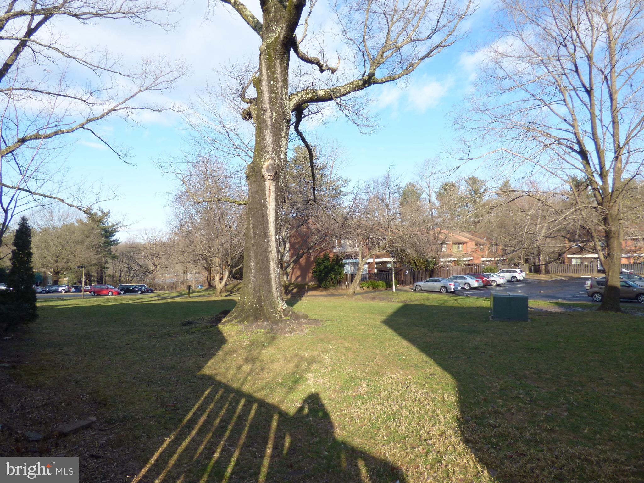 1368 Northgate Square Reston, VA 20190 - Photo 27 of 27 Gallery Image 27