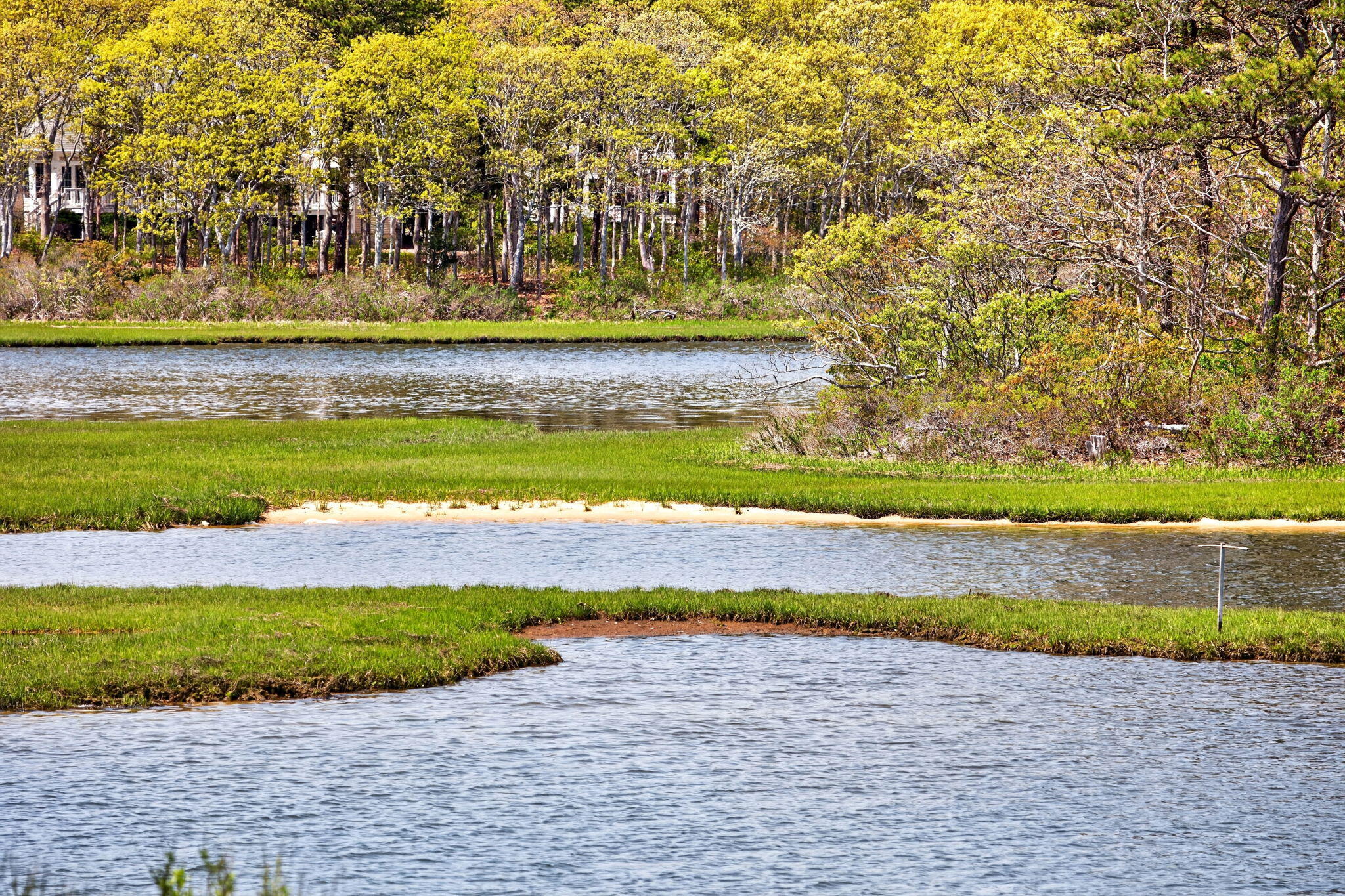 11 Clamshell Lane Mashpee, MA 02649 - Photo 36 of 43 a view of a yard with an ocean beach