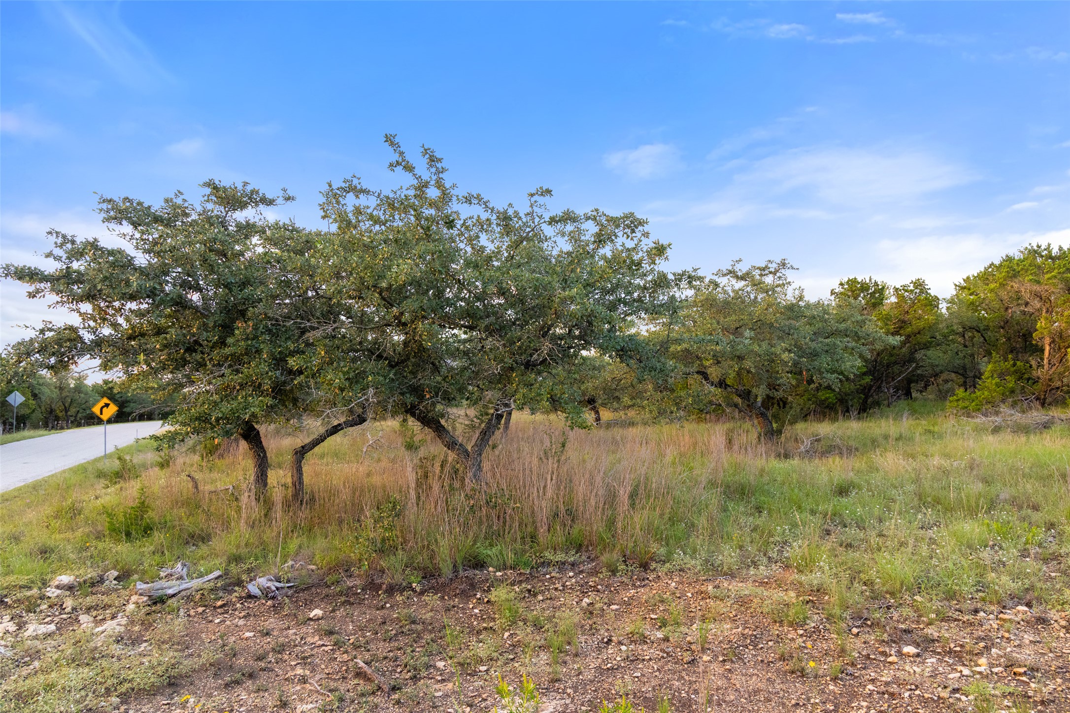 31930 Mirela Ann Road Dripping Springs, TX 78620 - Photo 4 of 12