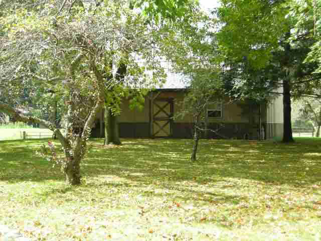 Gallery Image 6