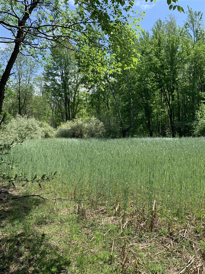 Beyer Road Road Free Soil, MI 49411 - Photo 23 of 46