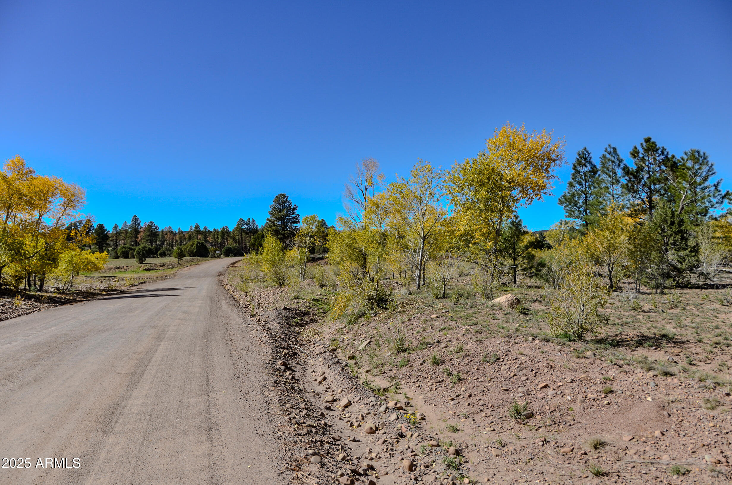685 Kuhn Road Pinedale, AZ 85934 - Photo 64 of 74