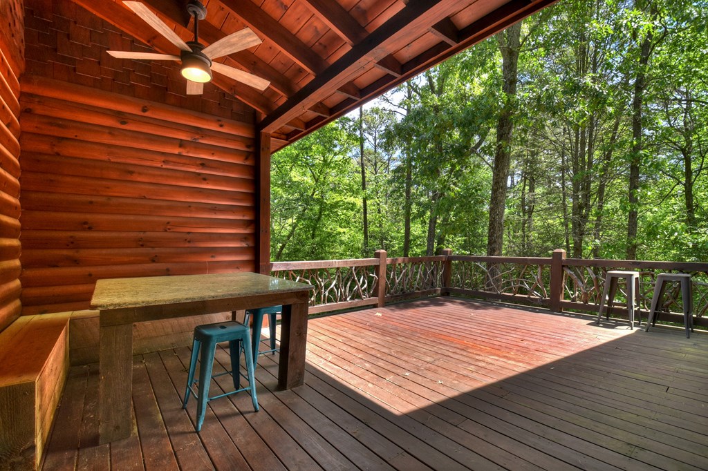 101 Overlook Road Blue Ridge, GA 30513 - Photo 28 of 42