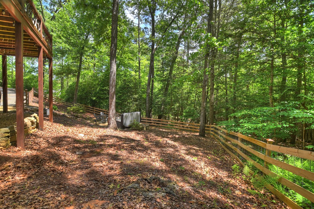 101 Overlook Road Blue Ridge, GA 30513 - Photo 41 of 42
