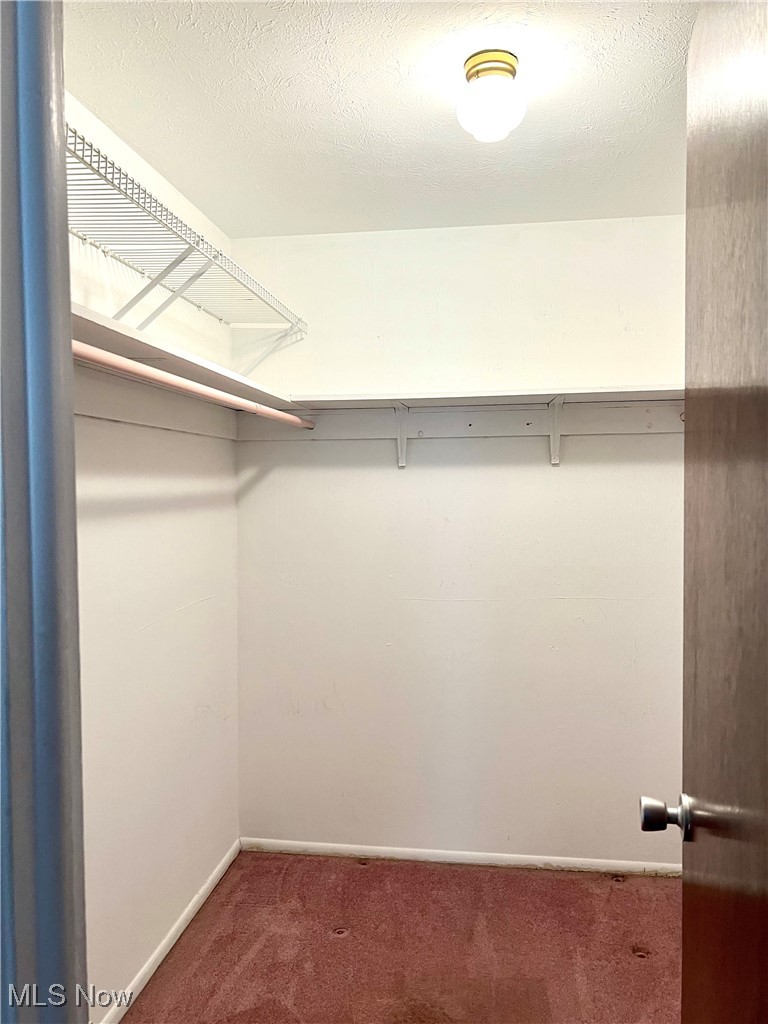 3068 Kent Road, Unit 105C Stow, OH 44224 - Photo 14 of 42 Walk in closet in primary bedroom