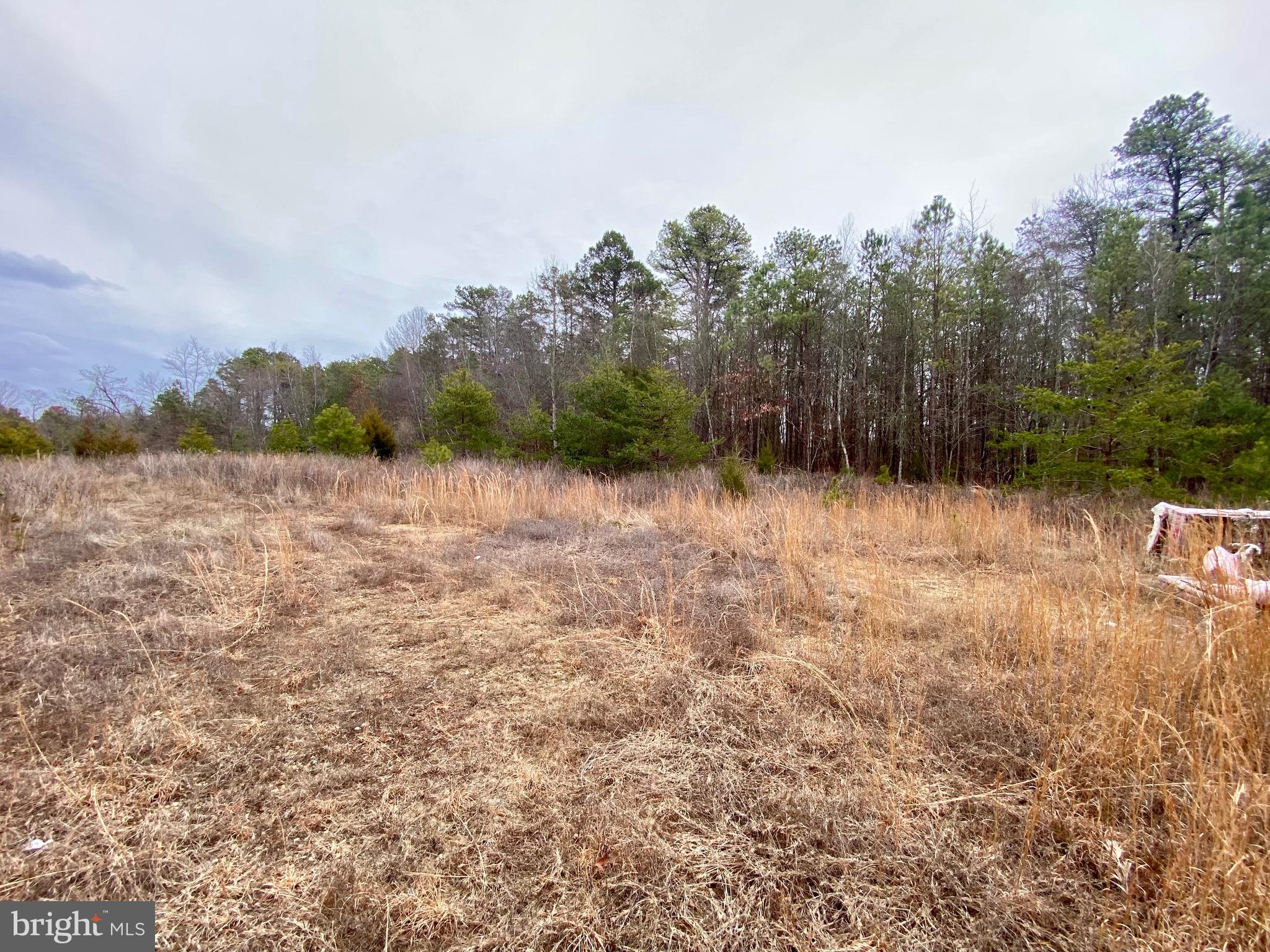a view of outdoor space with trees all around