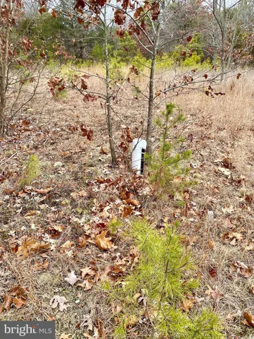 $399,000 | 785 White Horse Pike, Atco, NJ 08004