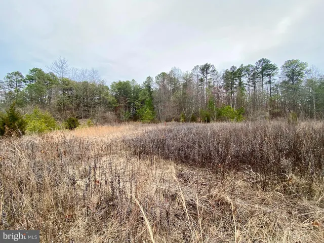 a view of a yard covered with snow in the yard