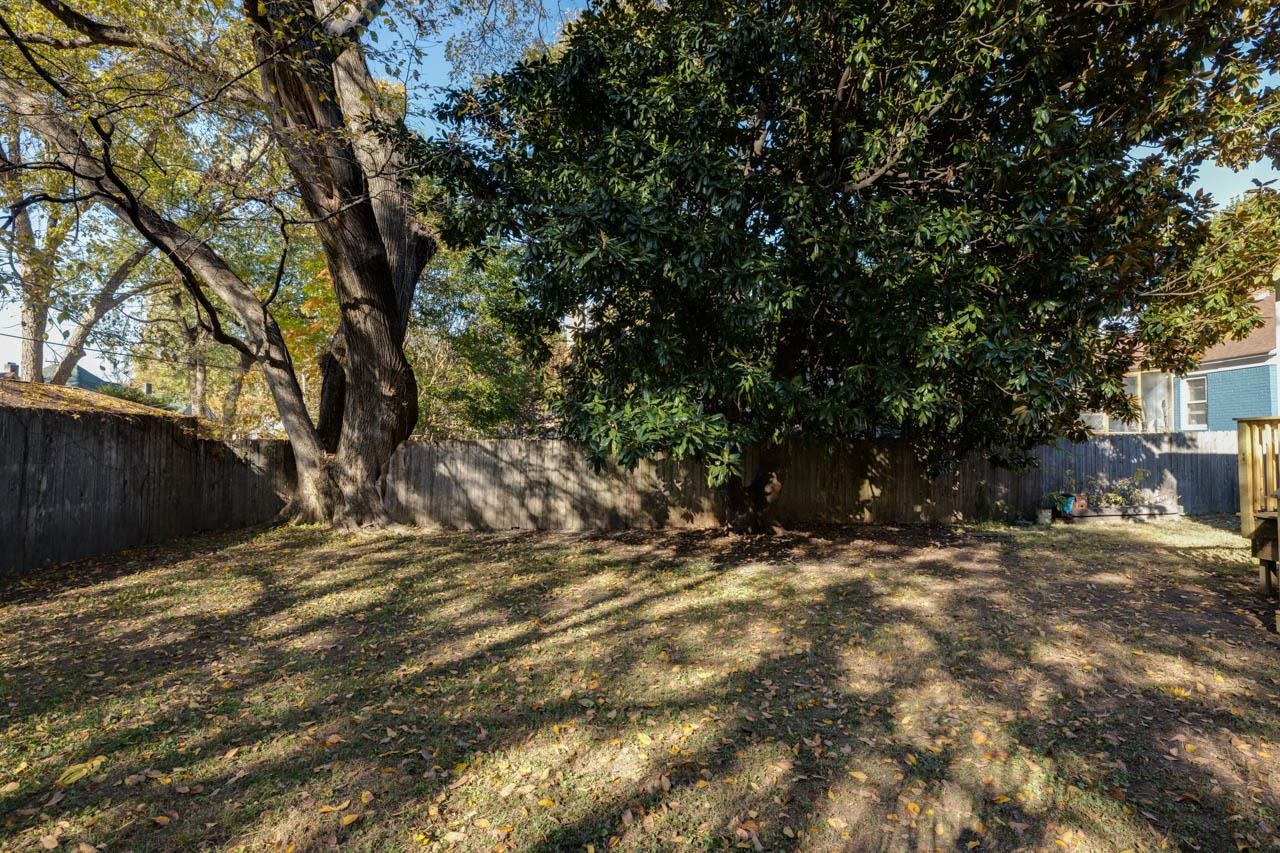 513 South Cox Street Memphis, TN 38104 - Photo 36 of 39 a view of a yard with large trees