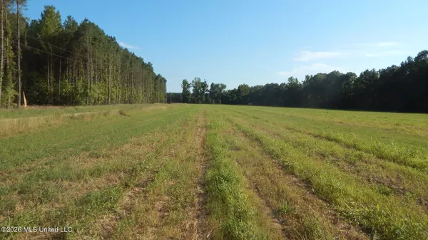 $19,500 | 555 Co Road, Bruce, MS 38915