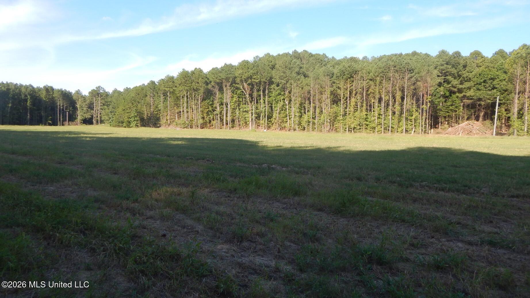 555 Co Road Bruce, MS 38915 - Photo 4 of 12 DSCN5642