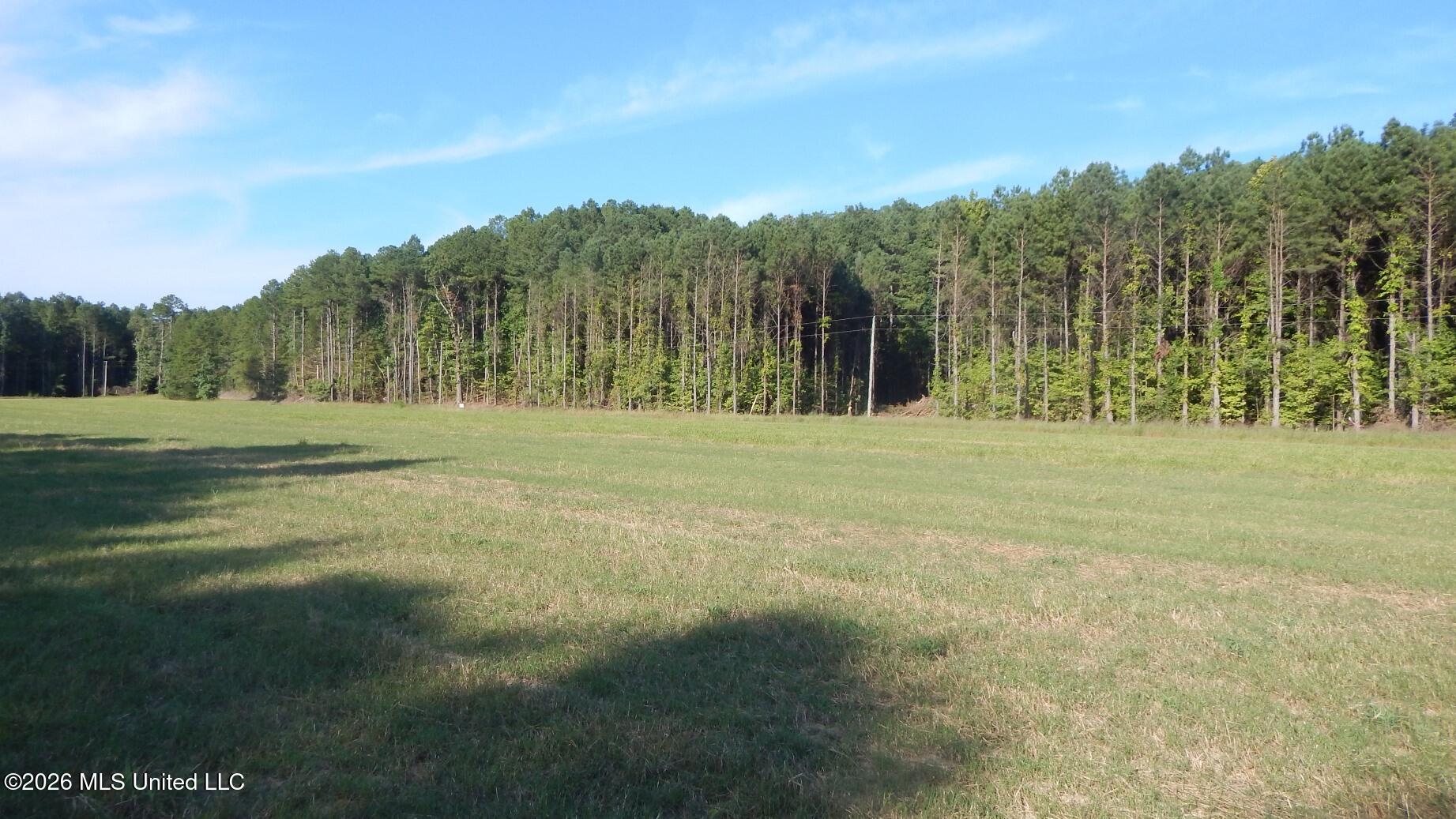 555 Co Road Bruce, MS 38915 - Photo 5 of 12 DSCN5645